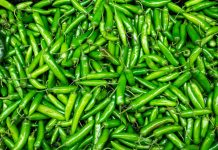 Los chiles verdes; ya no tan mexicanos.