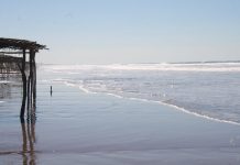 Novillero, la playa mas larga de todo el país.