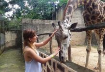 Conoce el zoológico de Puerto Vallarta.