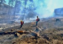 COFONAY atiende y controla conato de incendio en el cerro de San Juan, en Xalisco