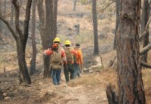 Controlan incendio forestal interestatal en “Loma de los Lobos”, en Ixtlán del Río